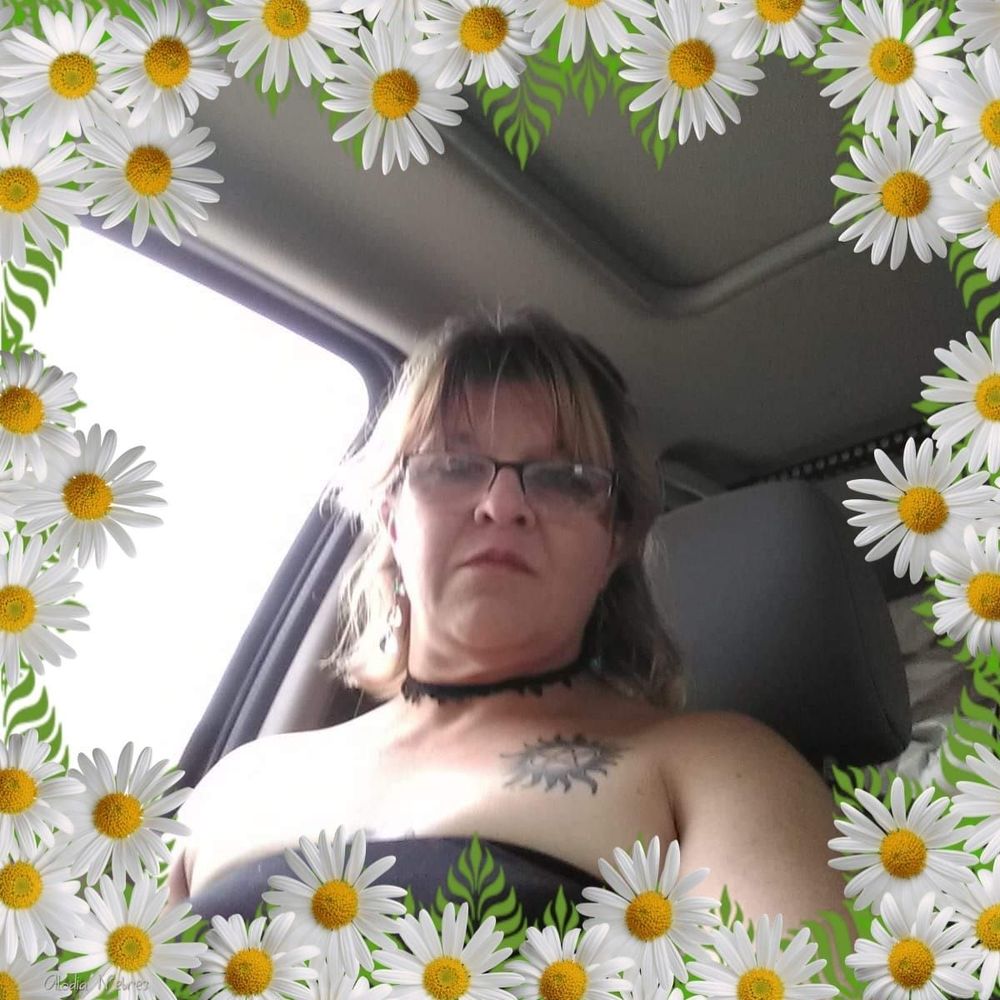 Meet your Posher, Kittie